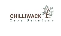 Chilliwack Tree Services image 1